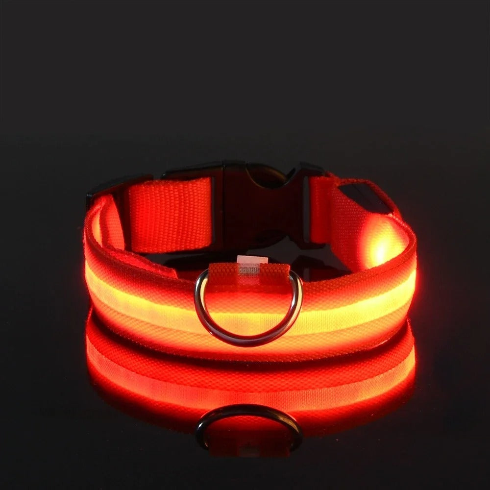 ED Nylon Glow-in-the-Dark Dog Collar - Safety Flashing Pet Accessory