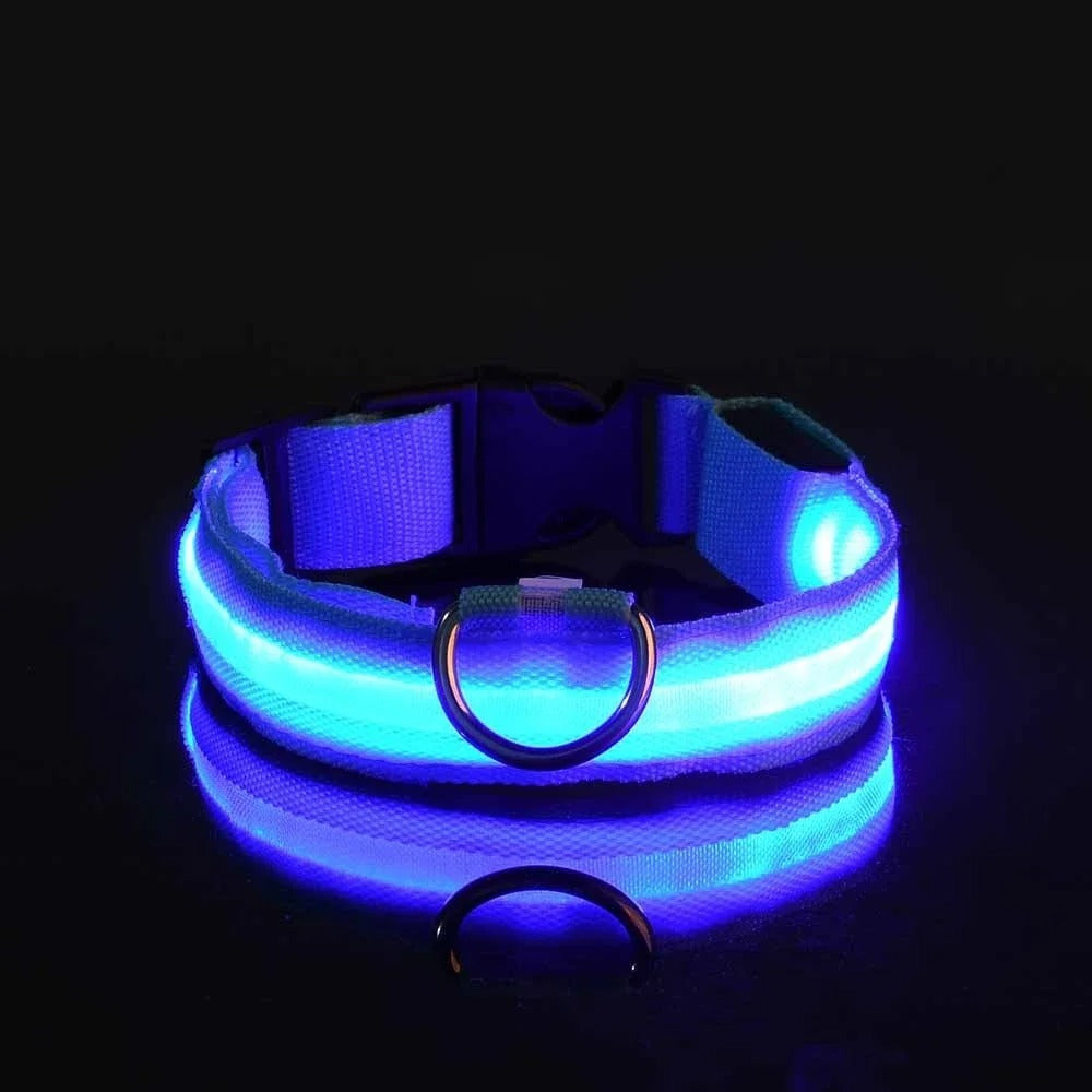 ED Nylon Glow-in-the-Dark Dog Collar - Safety Flashing Pet Accessory