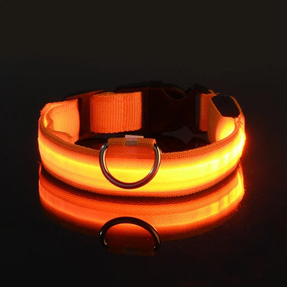 ED Nylon Glow-in-the-Dark Dog Collar - Safety Flashing Pet Accessory