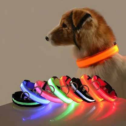 ED Nylon Glow-in-the-Dark Dog Collar - Safety Flashing Pet Accessory