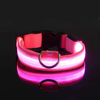 ED Nylon Glow-in-the-Dark Dog Collar - Safety Flashing Pet Accessory