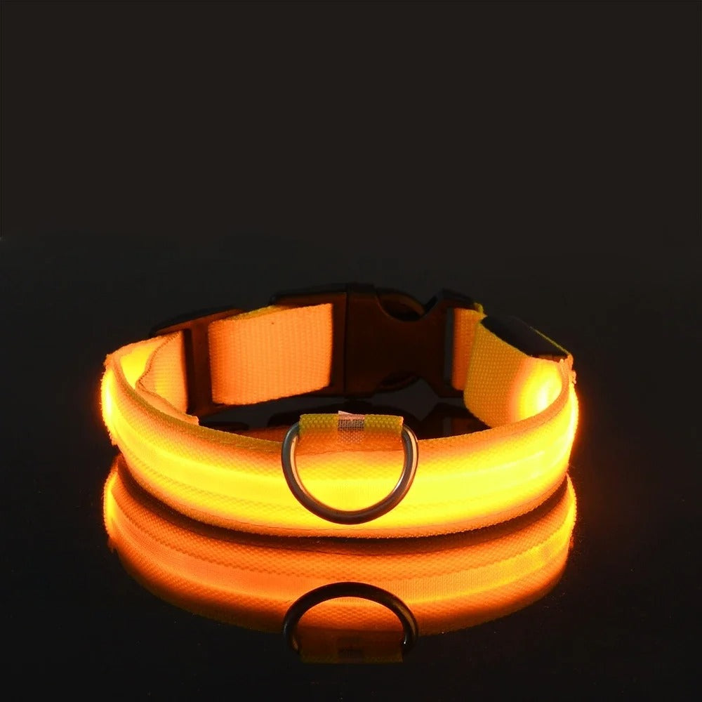 ED Nylon Glow-in-the-Dark Dog Collar - Safety Flashing Pet Accessory