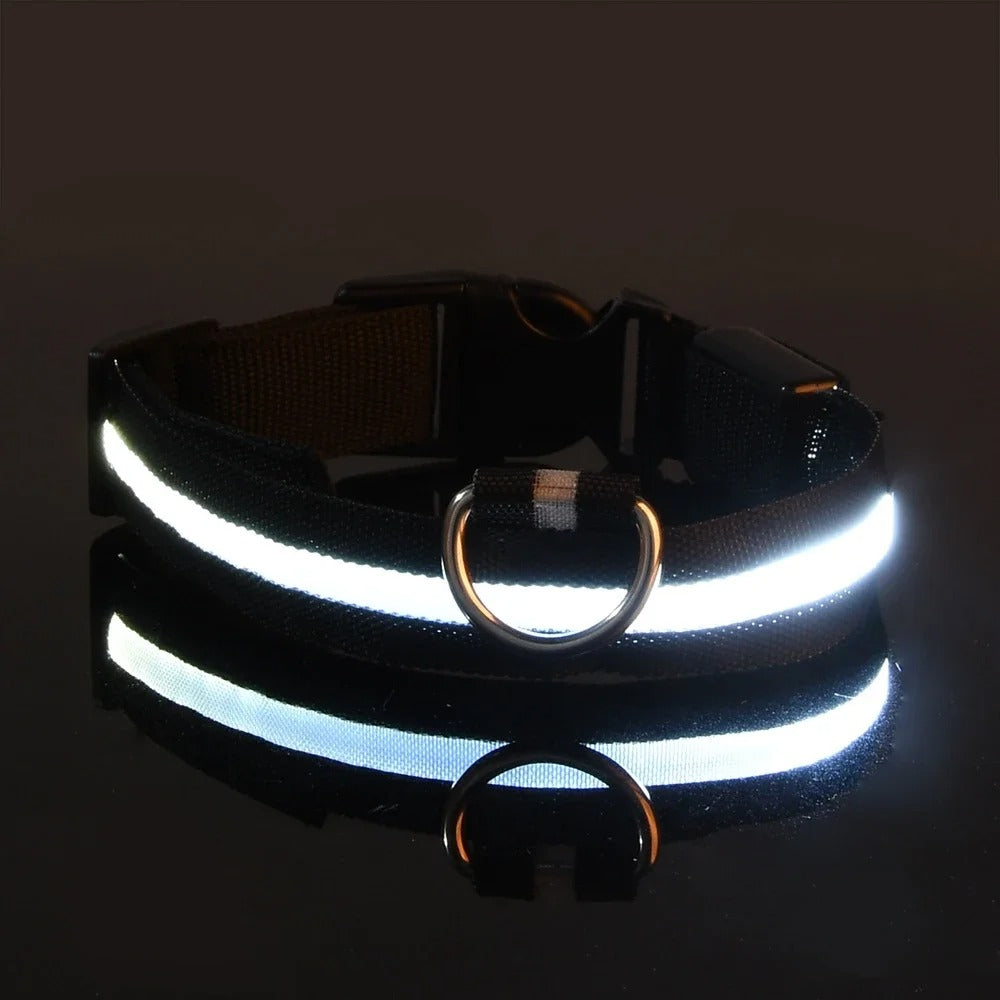 ED Nylon Glow-in-the-Dark Dog Collar - Safety Flashing Pet Accessory