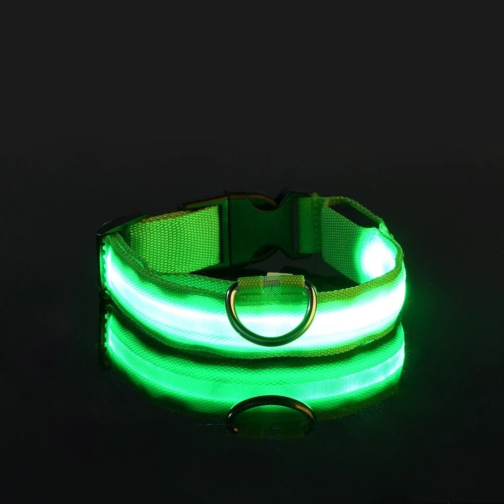 ED Nylon Glow-in-the-Dark Dog Collar - Safety Flashing Pet Accessory